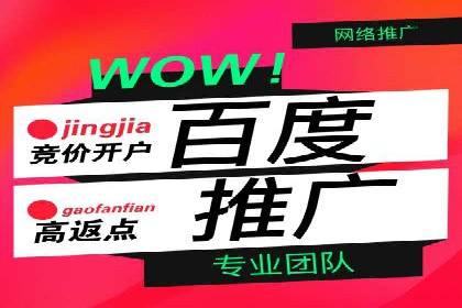 某公司SEM广告投放的全程回顾与效果评估